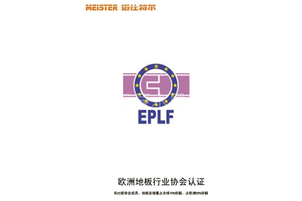 迈仕特尔荣誉证书